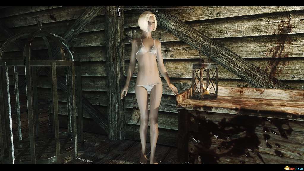 上古卷轴5 软妹子带你游天际 软妹狂人mod整合