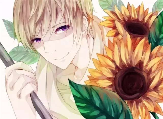 伊万·布拉金斯基壁纸