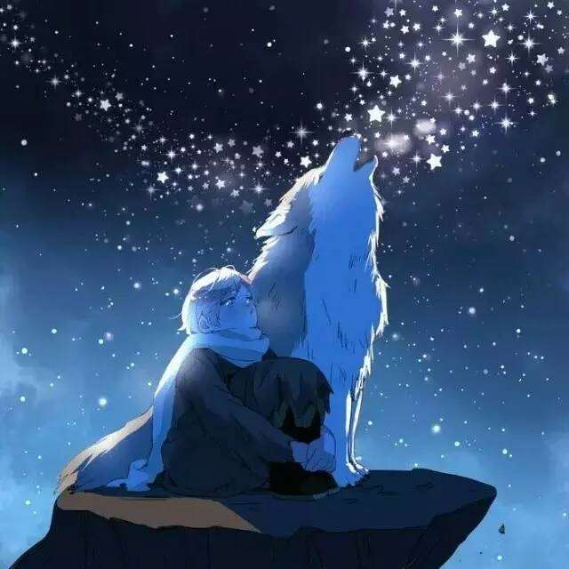 伊万·布拉金斯基壁纸