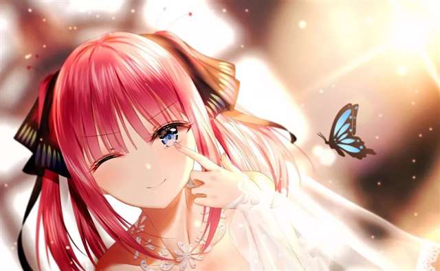 总之就是非常可爱丨中野二乃