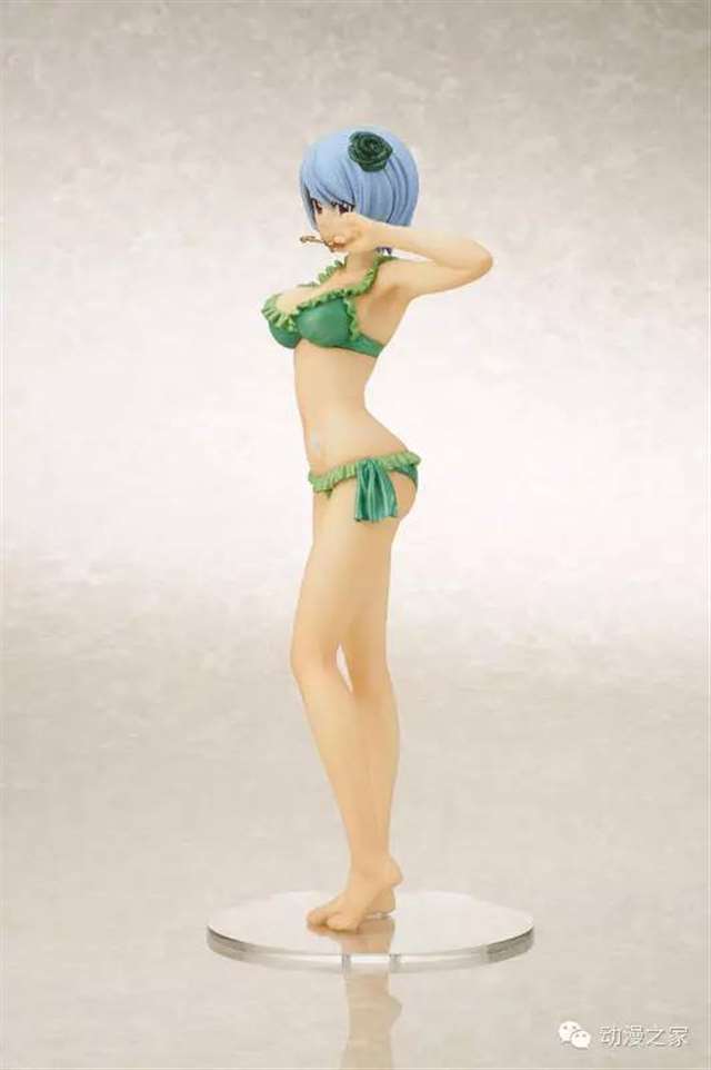 《妖精的尾巴》雪乃·阿古丽亚泳装