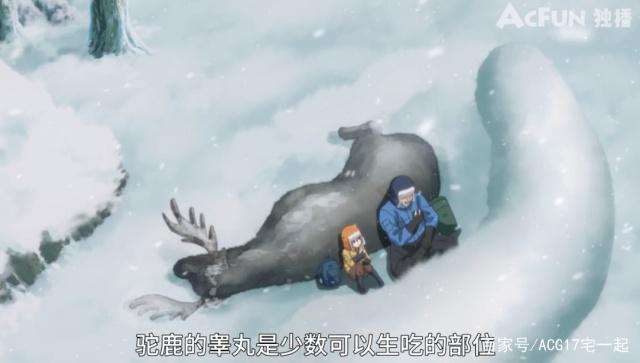 动画作品《你遭难了吗》