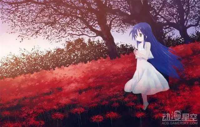 二次元中的各色人妻多了几分女性成熟圆润的感觉