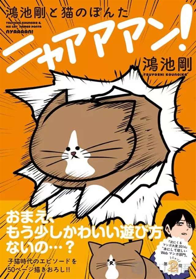 10部漫画让你更加了解猫咪这个生物