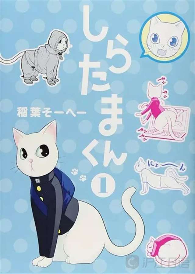 10部漫画让你更加了解猫咪这个生物