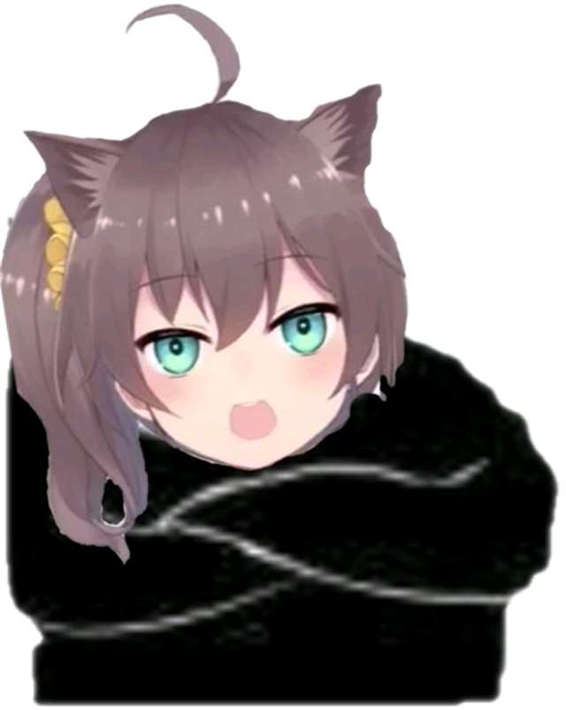 [vtb]hololive夏色祭的表情包