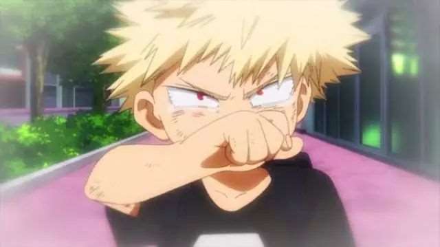 你最喜欢《我的英雄学院》中哪一个角色呢