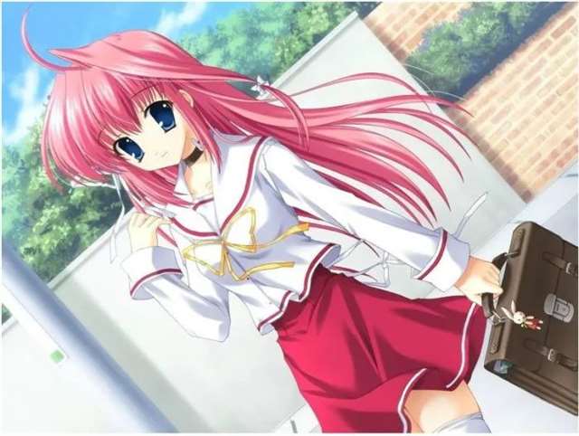 后宫番传送门共计是“26”部