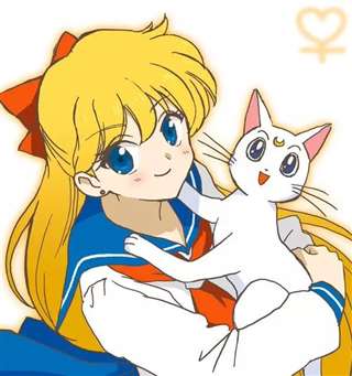 中文名：爱野美奈子 英文名：Sailor V