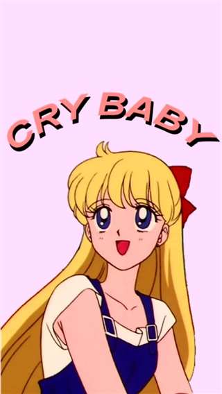 中文名：爱野美奈子 英文名：Sailor V