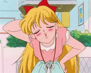 中文名：爱野美奈子 英文名：Sailor V