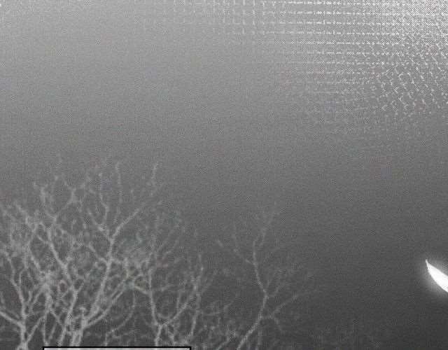 燃晚  |  要见师尊了