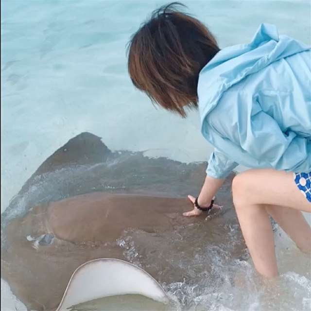 Hanser长什么样子?