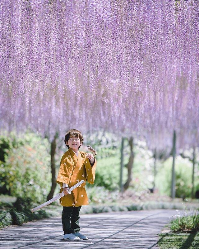 COS正片/太可爱了吧…正太化身，「迷你动画角色」熟悉的身影多了点萌感！