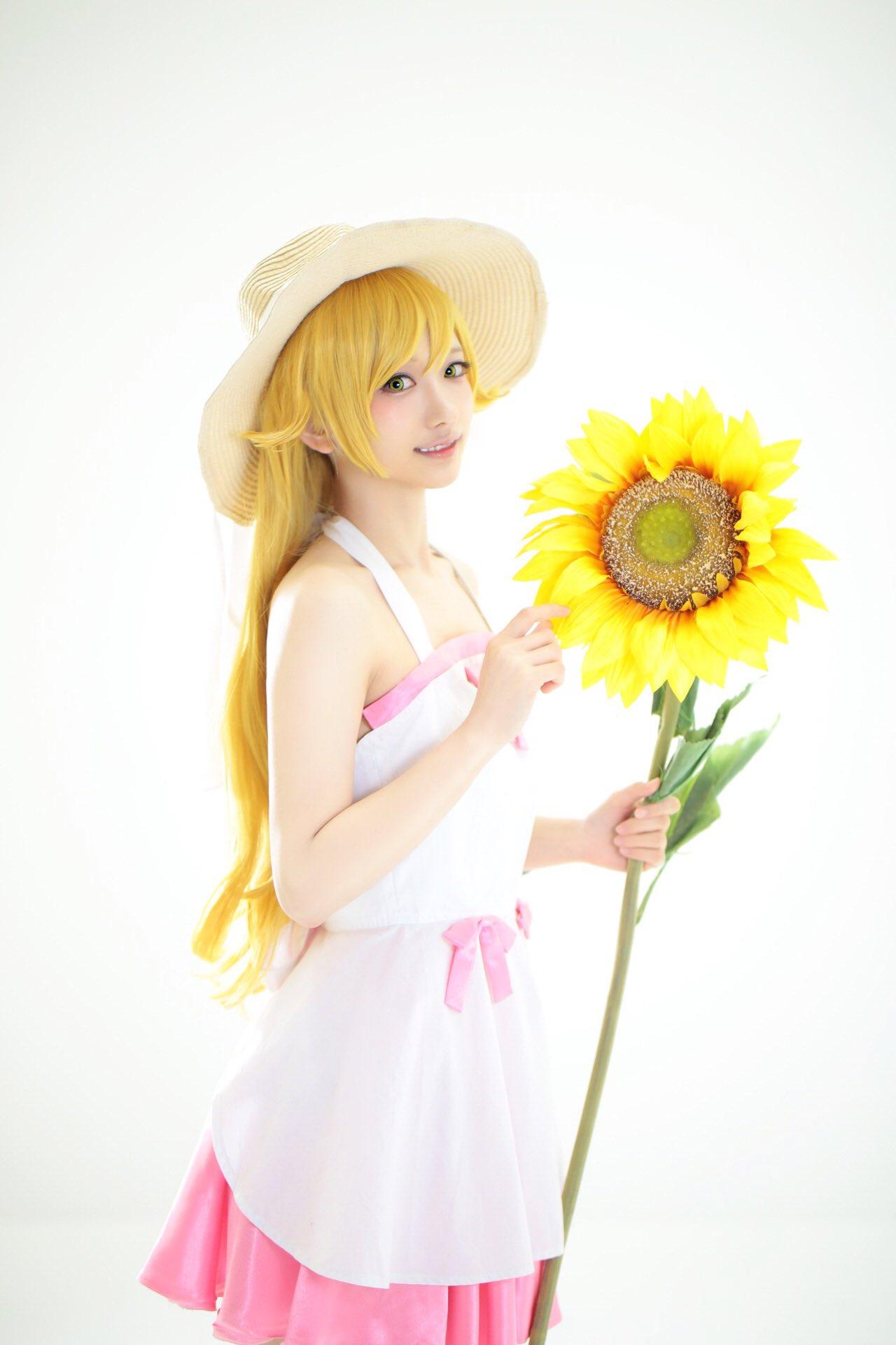 COS正片/黑Saber 泳装…《蒼羽もぐ汰》超大份精选集！！