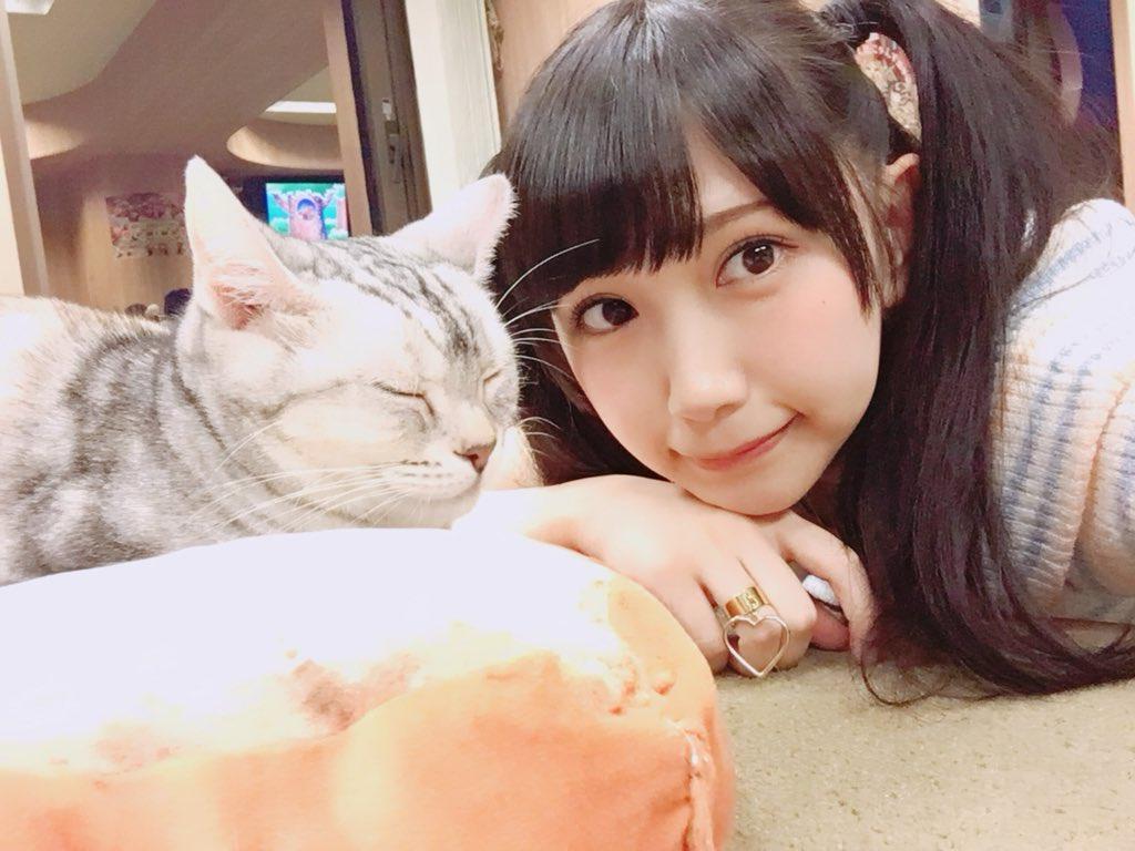 COS正片/猫系双马尾萌妹《小日向くるみ》超大份精选集！！