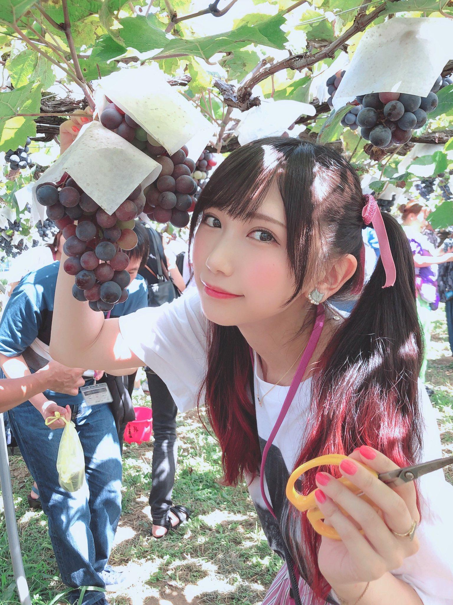 COS正片/猫系双马尾萌妹《小日向くるみ》超大份精选集！！