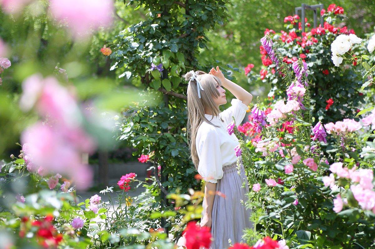 COS正片/日本COSER茉夏美图赏 萌值爆表宛如邻家妹纸一般