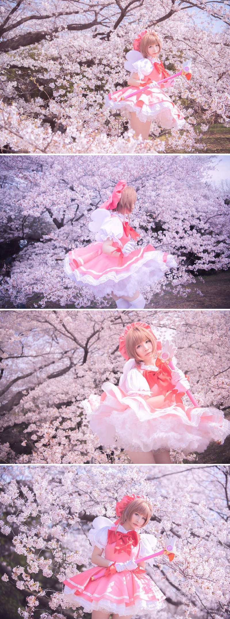 COS正片/日本coser收藏动漫周边破吉尼斯纪录真爱不计金钱