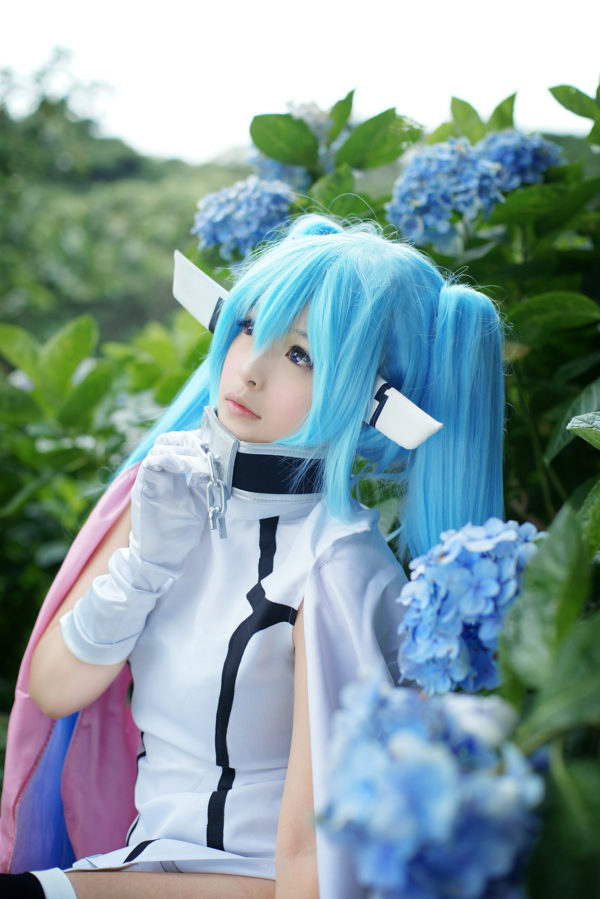 COS正片/Coser女神《Misa米砂》合辑 小暗，黑猫，亚丝娜 等等…