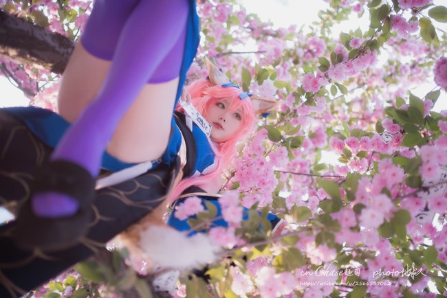 白天和晚上的小玉 《Fate/Grand Order》玉藻前cosplay
