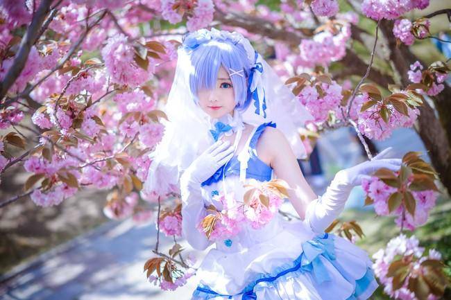 Cosplay福利/蕾姆 Cn：羽天Shine