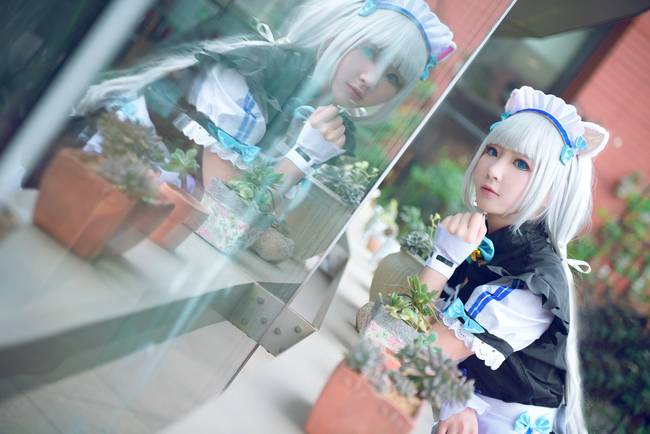 Cosplay福利/绝对领域猫系少女姐妹花女仆白丝萝莉Cosplay番号