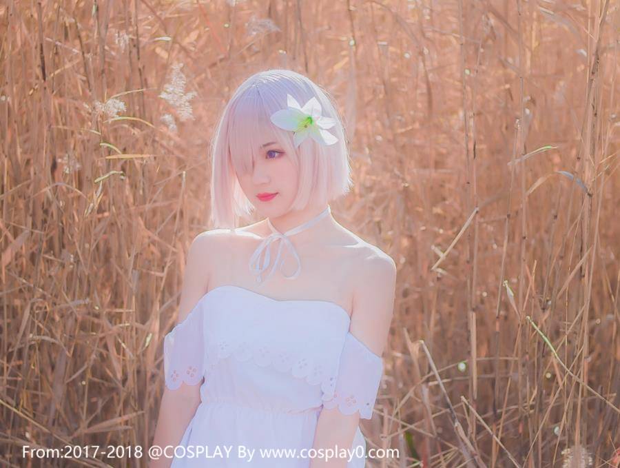 Cosplay福利/Fate盾娘玛修·基列莱特Cosplay萝莉本子图片