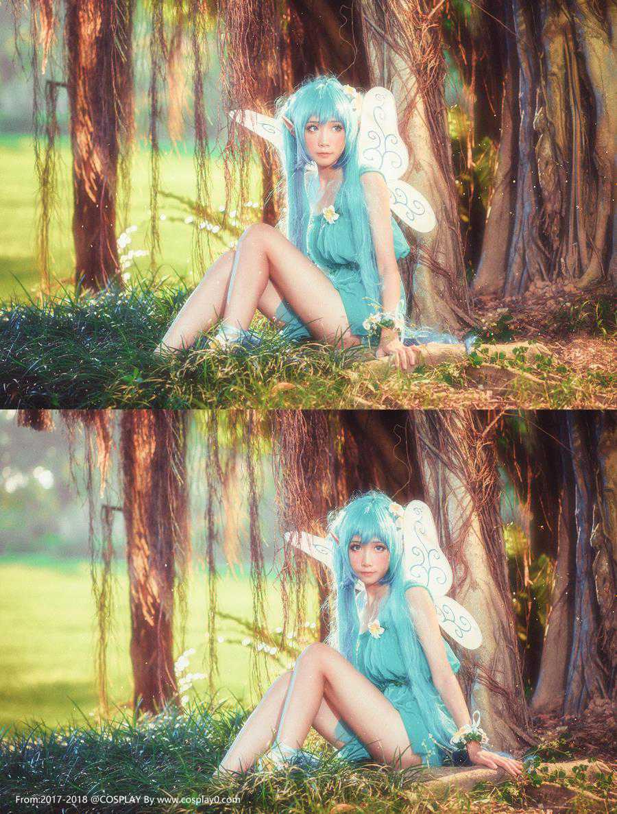 Cosplay福利/兽耳萝莉花妖精初音未来裸足Cosplay高清唯美图片