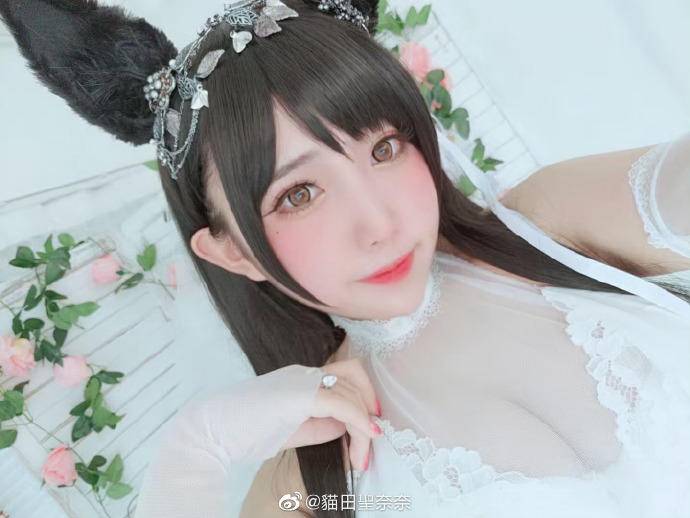 Cosplay福利/游戏碧蓝航线cos 爱宕犬 @貓田聖奈奈