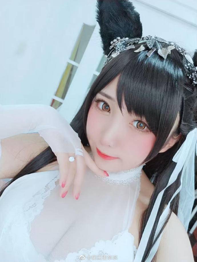 Cosplay福利/游戏碧蓝航线cos 爱宕犬 @貓田聖奈奈