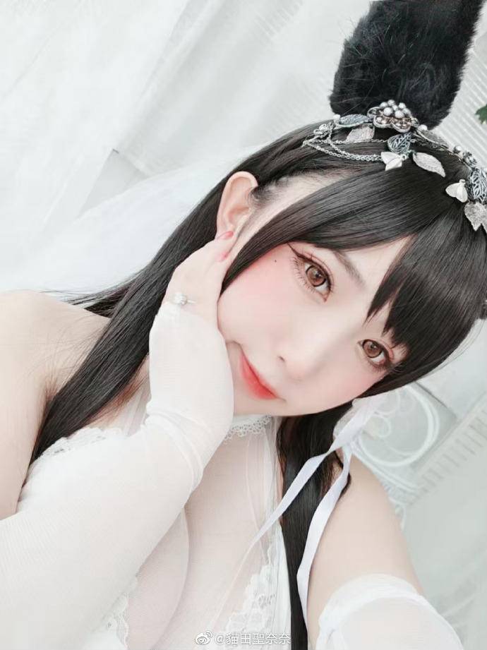 Cosplay福利/游戏碧蓝航线cos 爱宕犬 @貓田聖奈奈