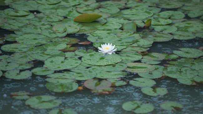 Cosplay福利/【仙剑奇侠传五】唐雨柔cosplay