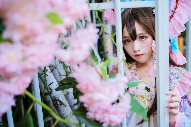 Cosplay福利/东方Project 灵梦cosplay Cn：茶狐