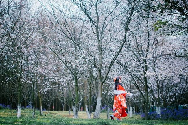 Cosplay福利/远坂凛 Cn:Misa贞喵