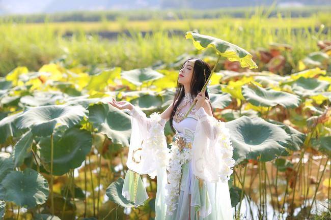 Cosplay福利/天涯明月刀ol 心王陌上花cosplay n:鹿爷A-Li