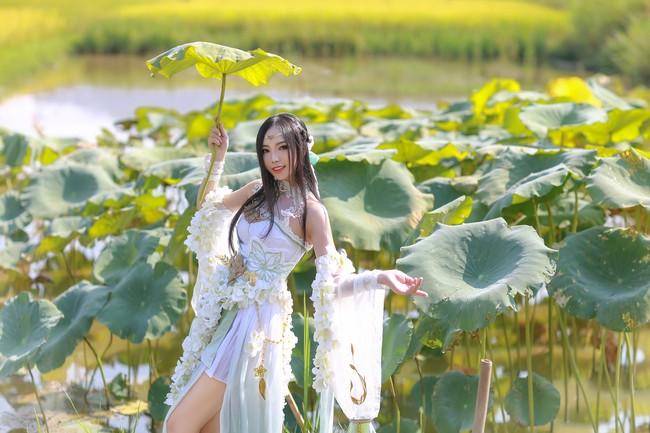 Cosplay福利/天涯明月刀ol 心王陌上花cosplay n:鹿爷A-Li