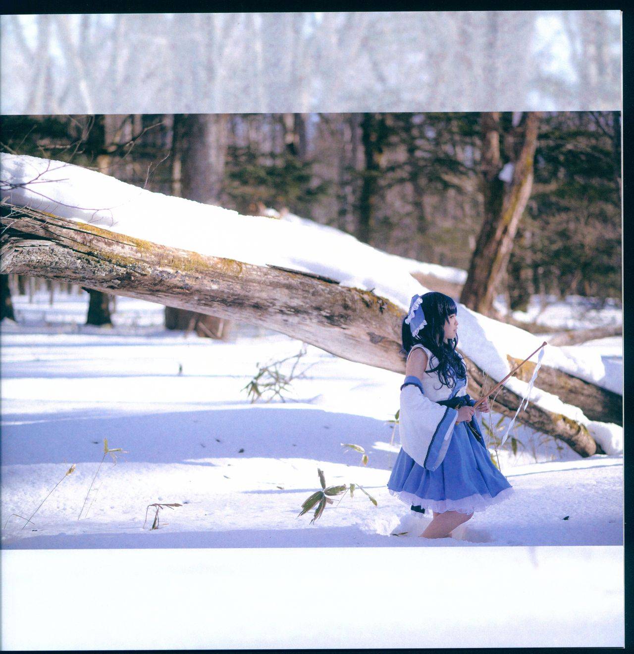 Cosplay福利/(例大祭14)[りー]东方色彩戯