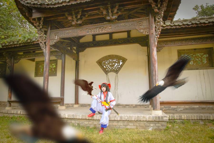 Cosplay福利/[COS正片]王者荣耀Cosplay女英雄娜可露露图片