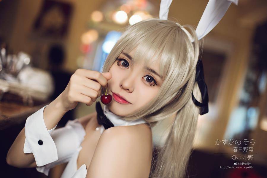 Cosplay福利/小野妹子w 穹妹兔女郎Cosplay黑丝写真福利