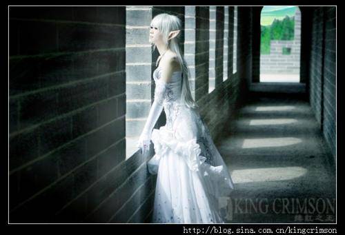 Cosplay福利/天堂2美女萌萌女精灵cosplay图片