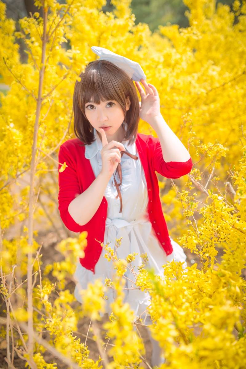 Cosplay福利/路人女主的养成方法加藤惠樱花系列唯美cosplay图片