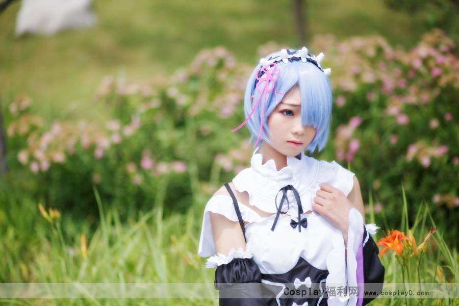 Cosplay福利/从零开始的异世界生活蕾姆cosplay白丝美女图片
