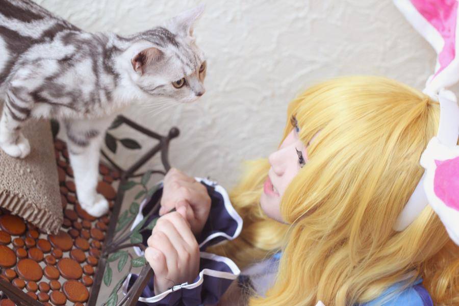 Cosplay福利/王者女英雄Cosplay泳装 王者荣耀cosplay妲己图片