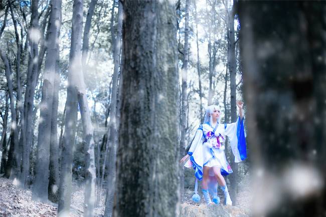 Cosplay福利/【萤草同人】雪舞樱落