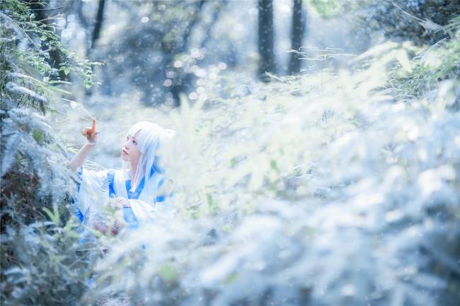 Cosplay福利/【萤草同人】雪舞樱落