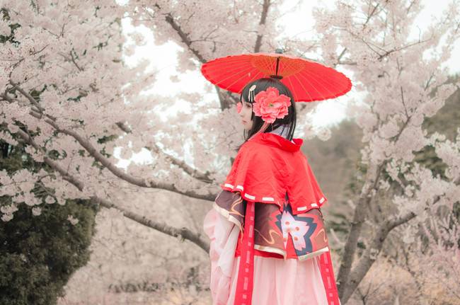 Cosplay福利/樱花妖cos