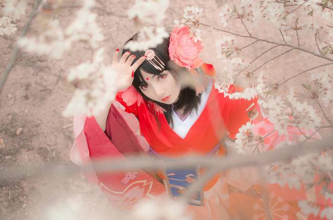 Cosplay福利/樱花妖cos