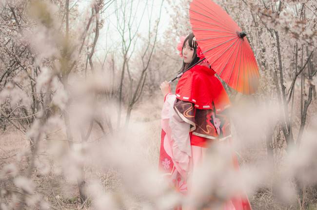 Cosplay福利/樱花妖cos