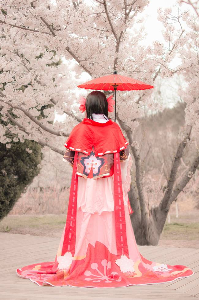 Cosplay福利/樱花妖cos